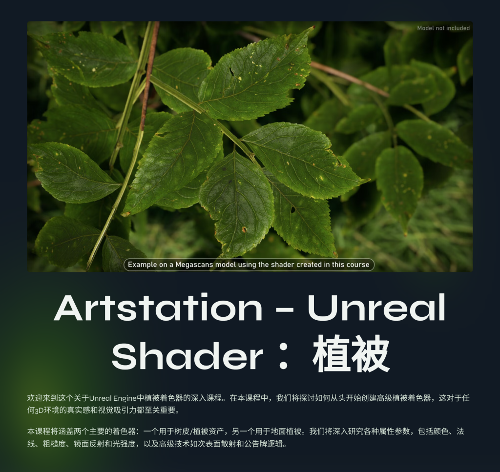 植物 Artstation – Unreal Shader ： Vegetation-虚幻之初