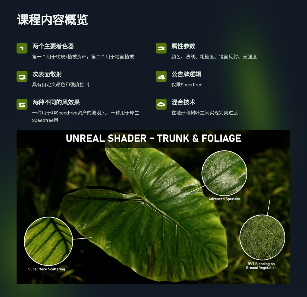图片[2]-植物 Artstation – Unreal Shader ： Vegetation-虚幻之初