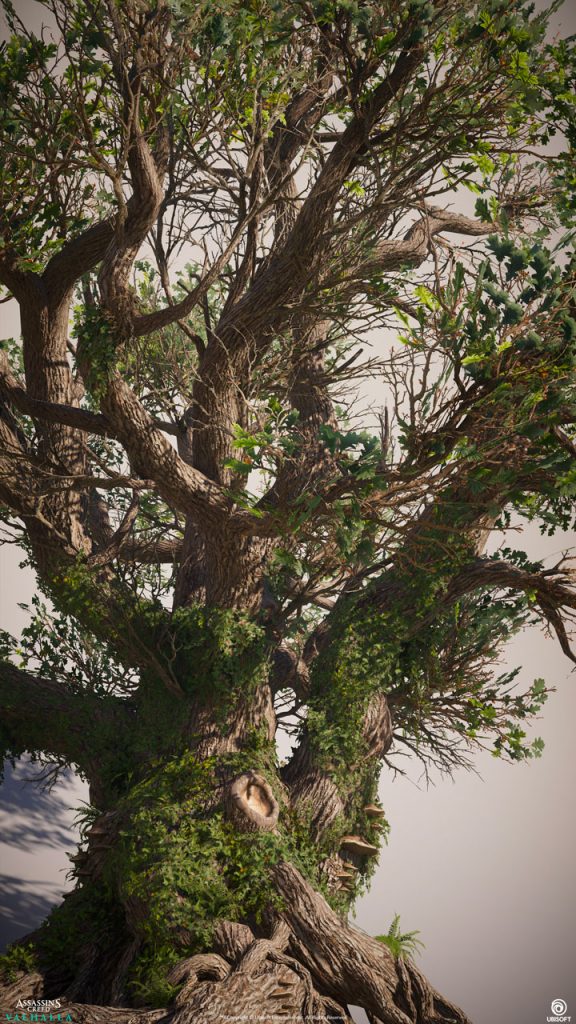 图片[5]-使用 Speedtree 和摄影测量为游戏创建沼泽场景-虚幻之初