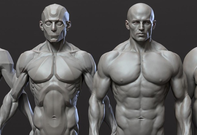 Zbrush 中级解剖学男性和女性-虚幻之初