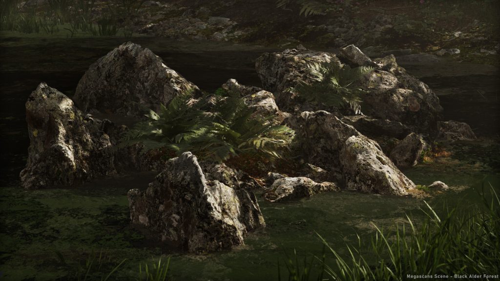 图片[4]-Megascans 场景 – 黑桤木林-虚幻之初