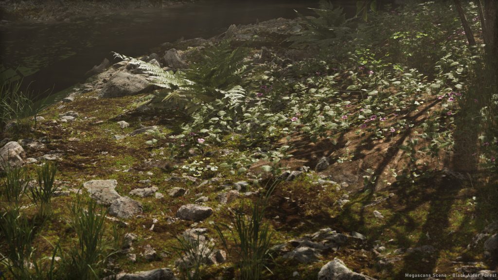 图片[6]-Megascans 场景 – 黑桤木林-虚幻之初